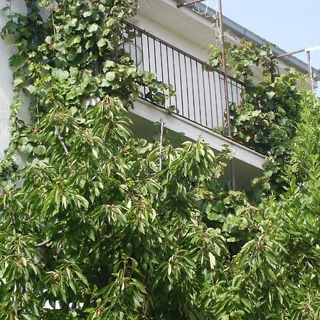 Apartments Prizmic Podstrana Dış mekan fotoğraf