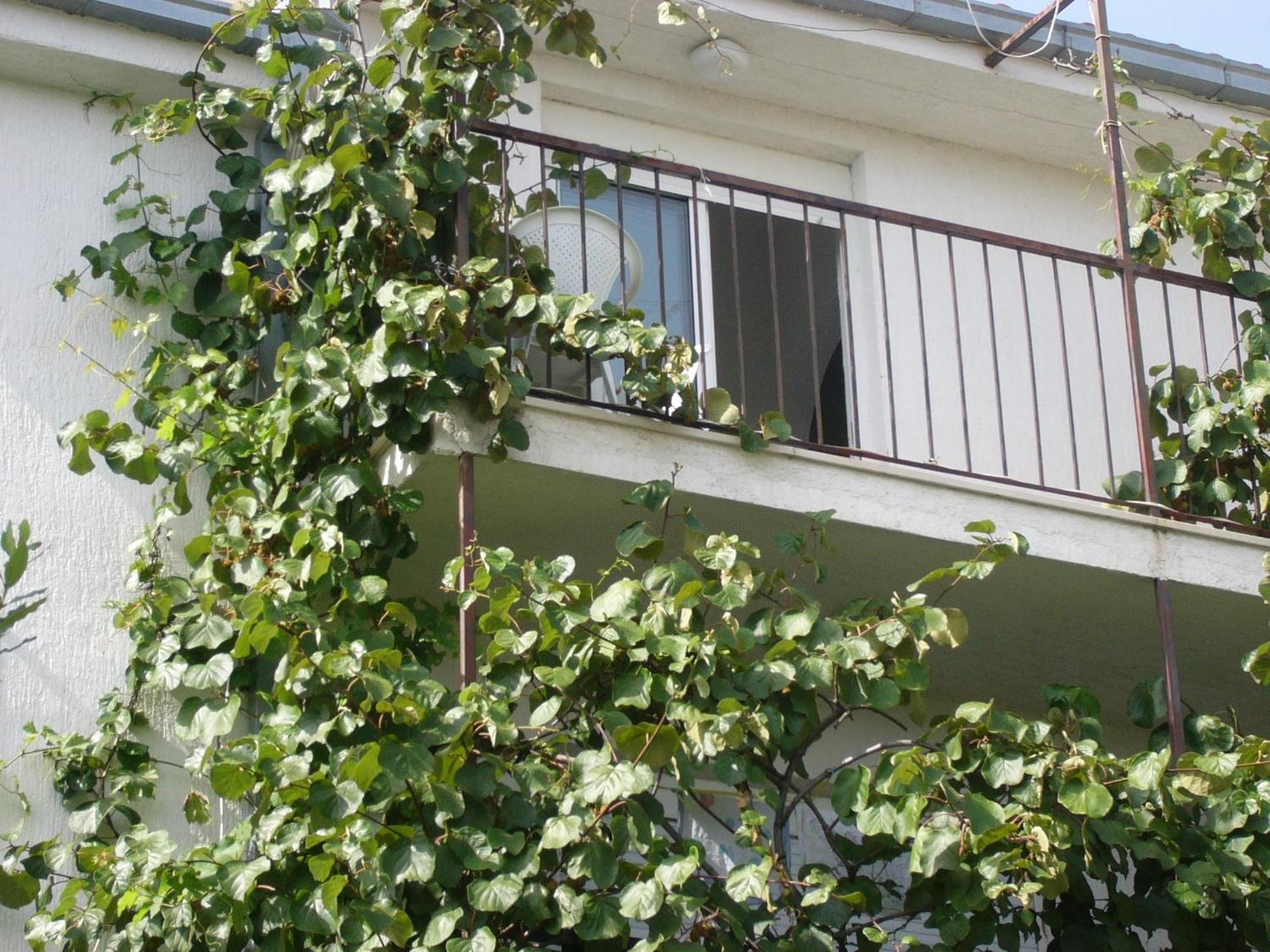 Apartments Prizmic Podstrana Dış mekan fotoğraf