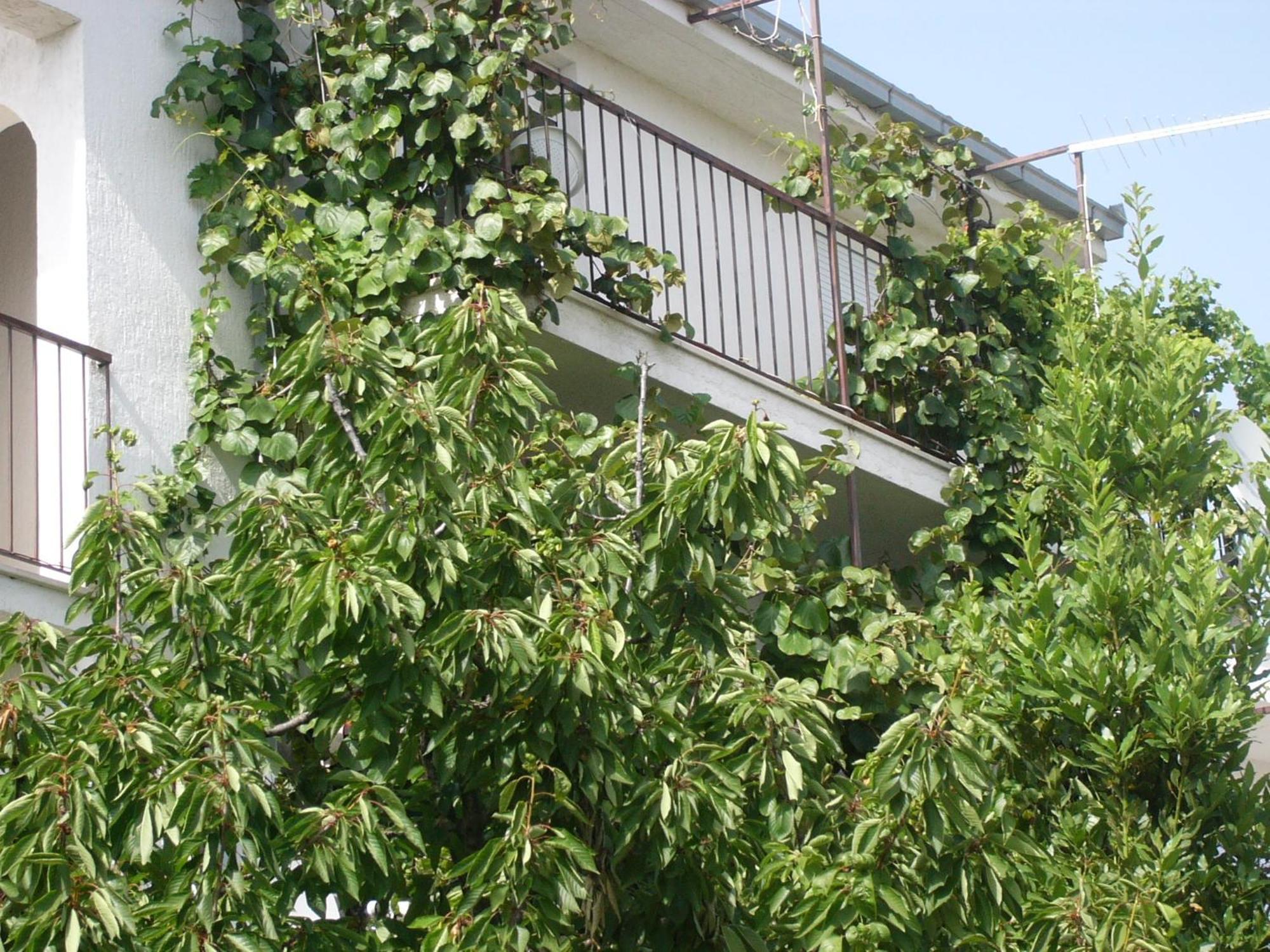 Apartments Prizmic Podstrana Dış mekan fotoğraf